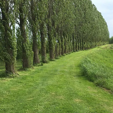 Laternenstube Mit Familienbett - Rittergut