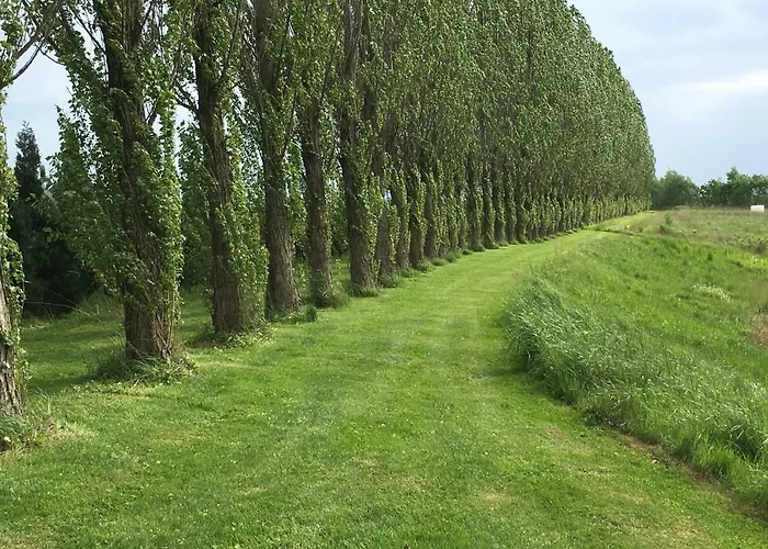 Laternenstube Mit Familienbett - Rittergut
